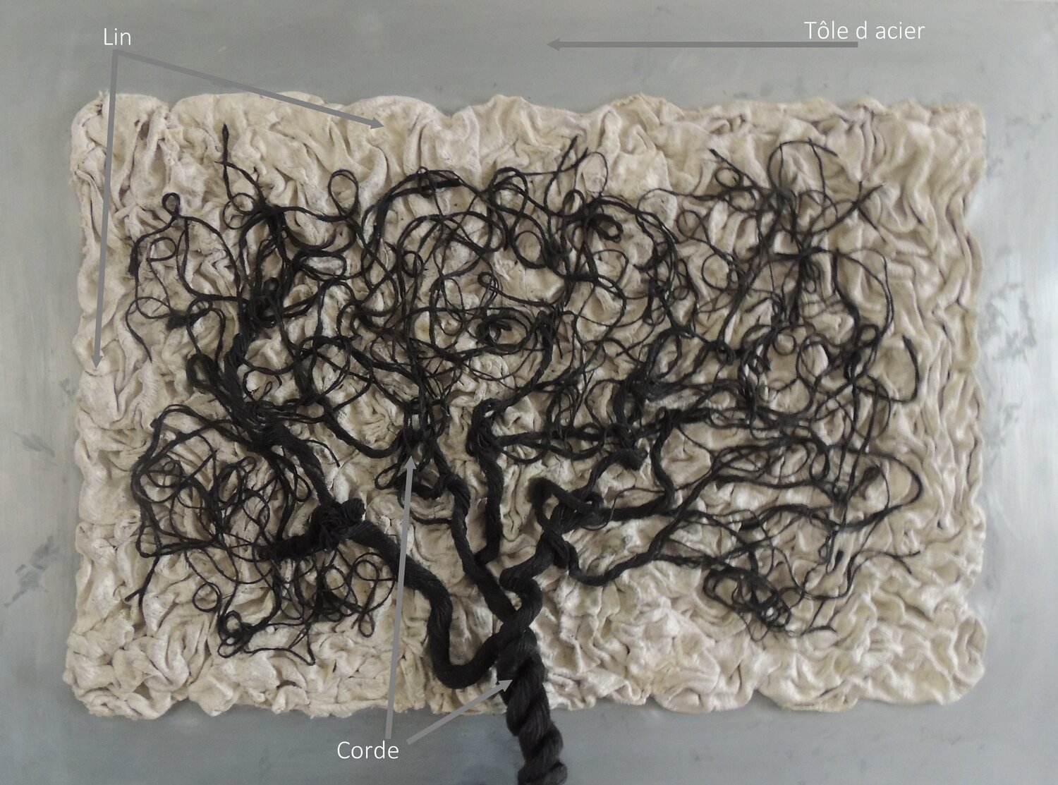 ARBRE DE VITALITÉ Daniel Burgraeve
