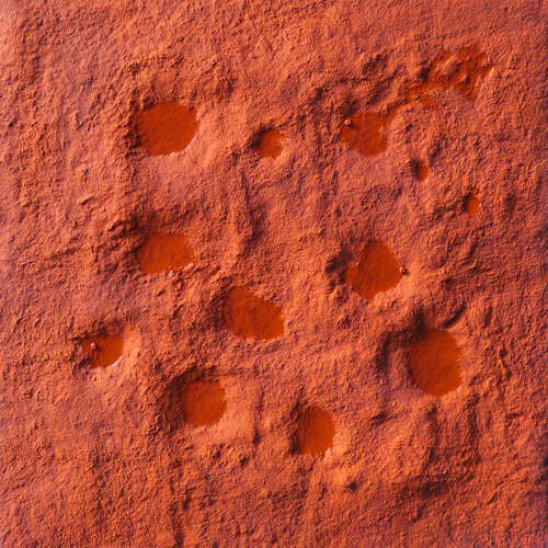 Ancient Mars Pin Vega