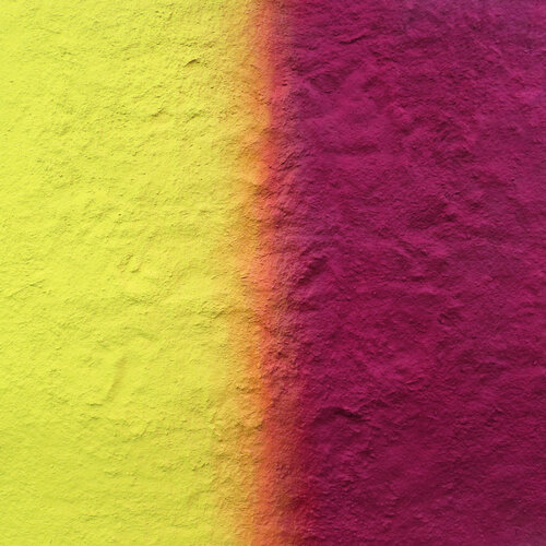 Royal Gramma van Pin Vega, Schilderij te koop op Singulart