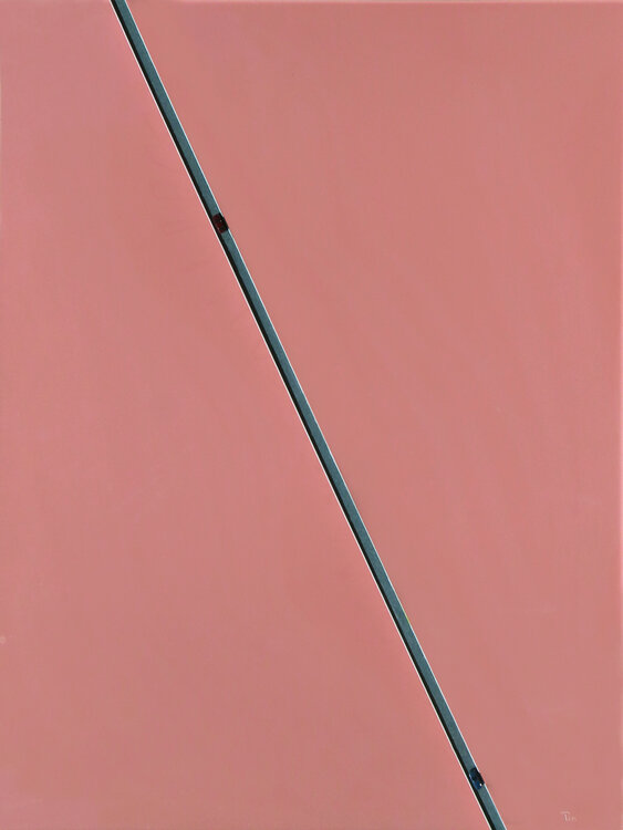 ÉCOSYSTÈME BRISÉ Pin Vega
