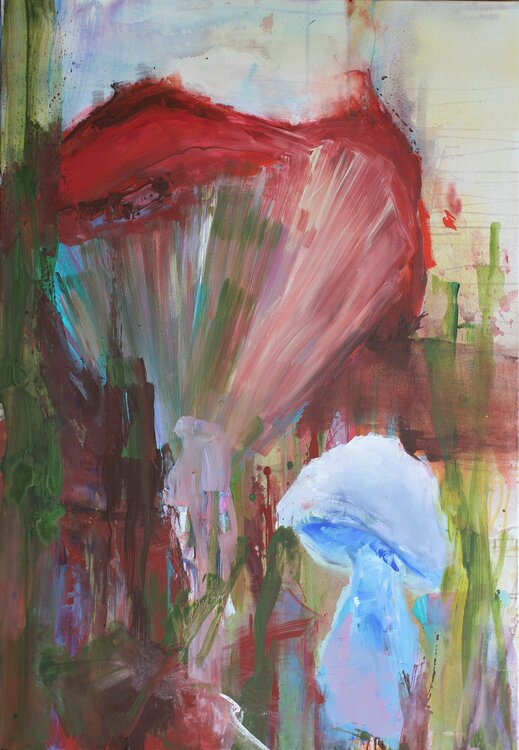 mushrooms #06 Josef Thalhofer
