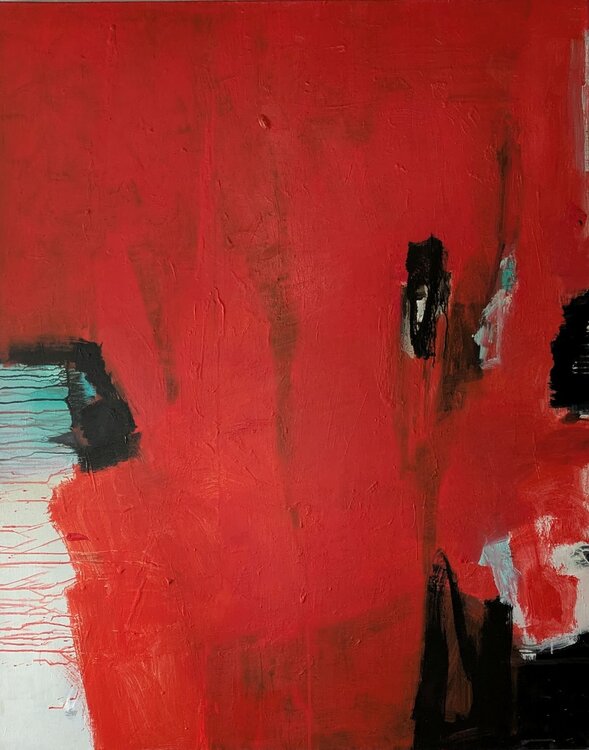 Rotes Wagnis Josef Thalhofer