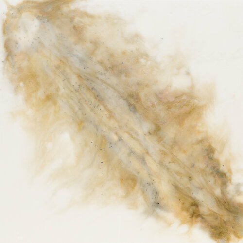 Shine di Natalie Schwarz, Pittura in vendita su Singulart