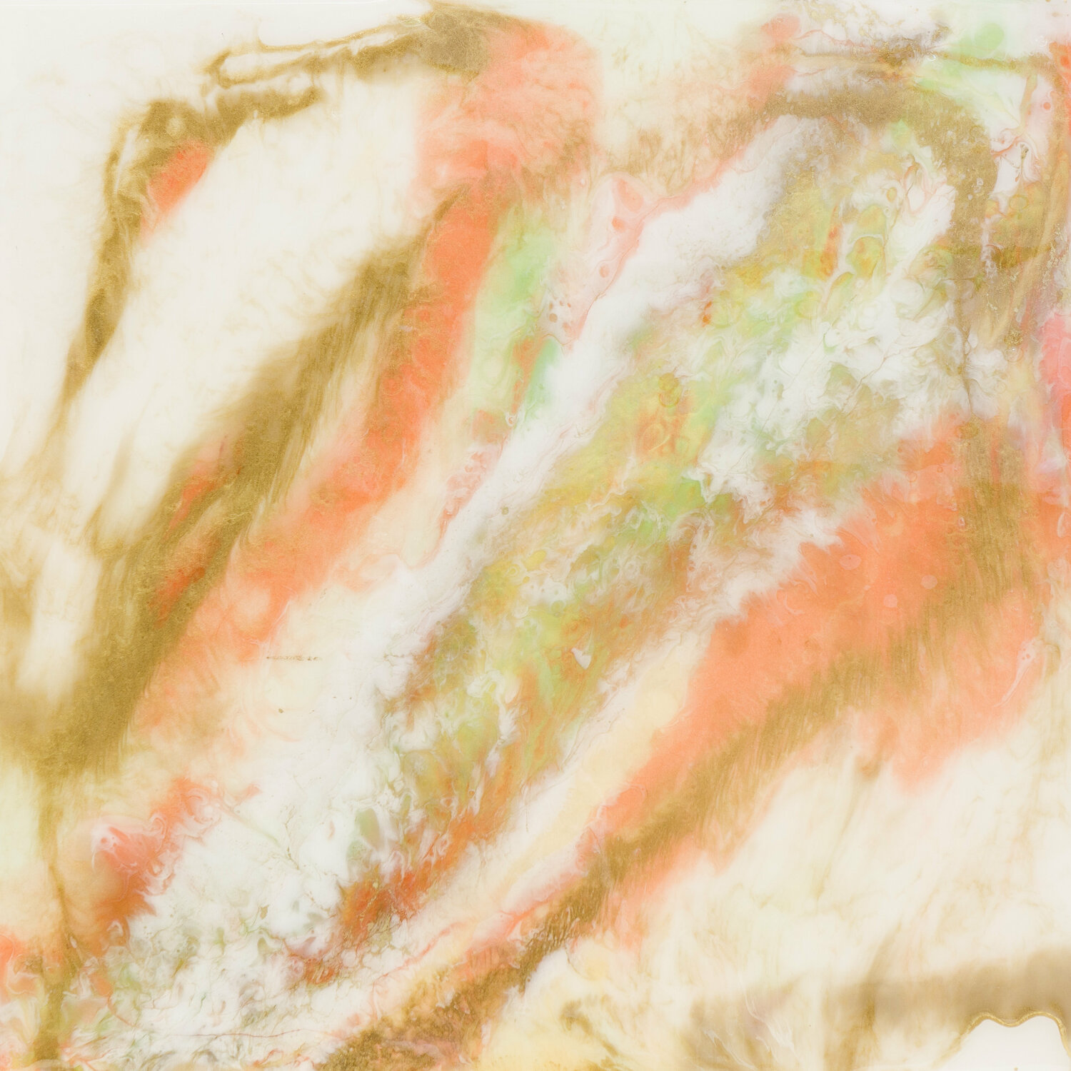 Sparkle Natalie Schwarz