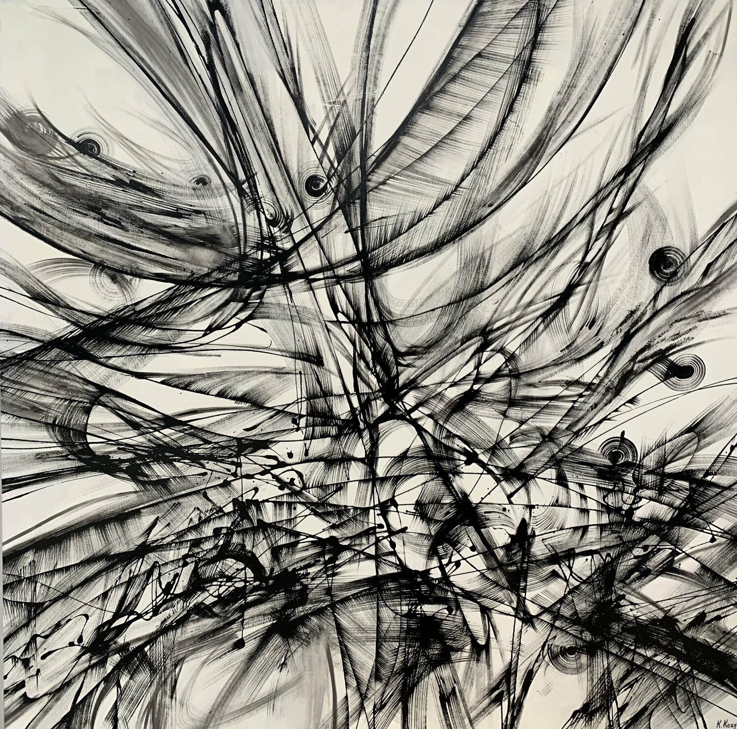 Feather Fracture Khrystyna Kozyuk