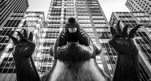 Rats! - NYC Joseph Cela