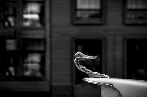 Bond St., NYC Joseph Cela