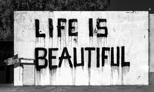 Life is Beautiful - LA (framed) Joseph Cela