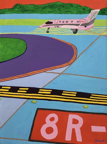 Ready for Takeoff van Sue Graef, Schilderij te koop op Singulart