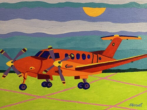 Red Airplane von Sue Graef, Malerei kaufen auf Singulart