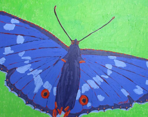Butterfly Two di Sue Graef, Pittura in vendita su Singulart