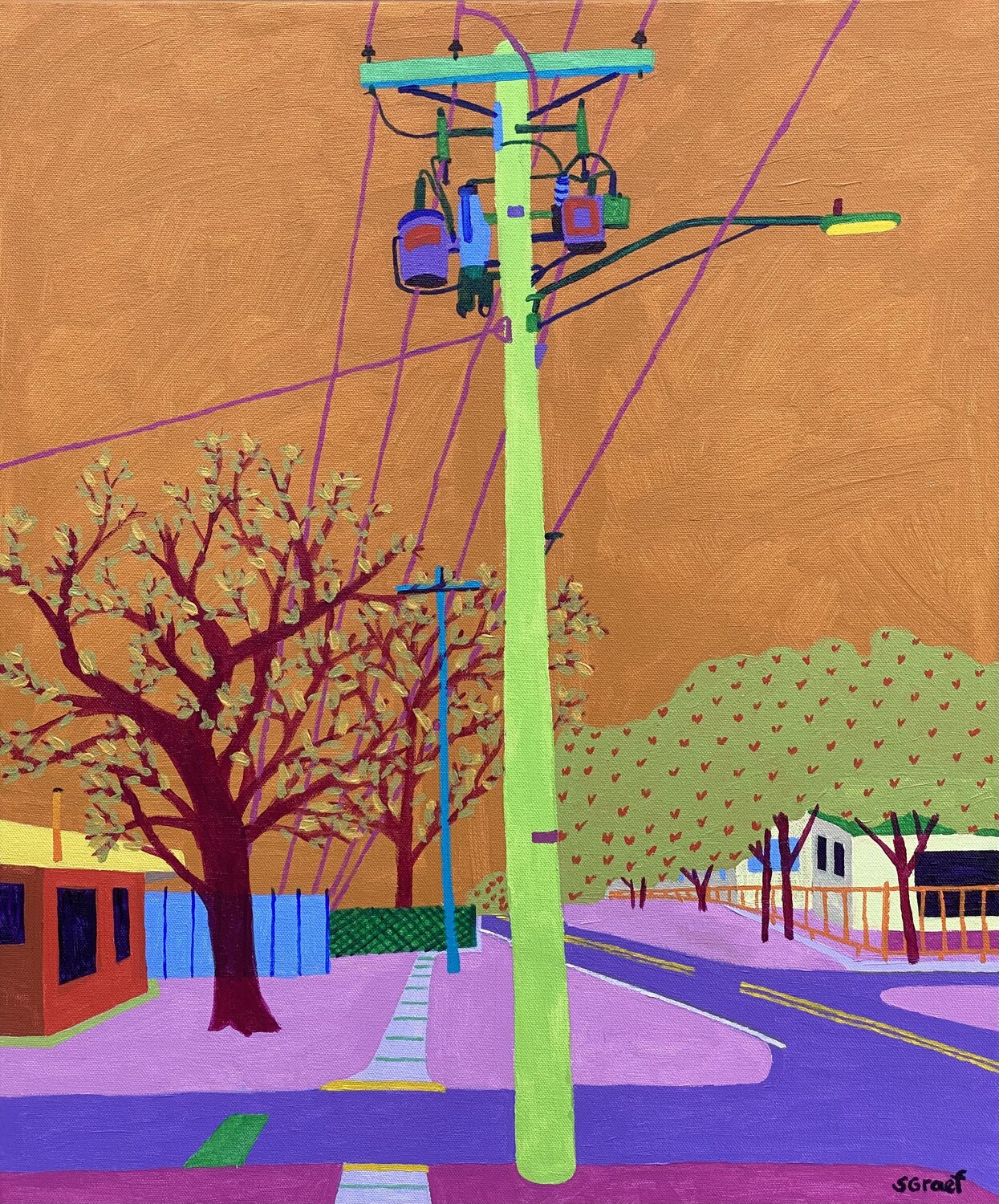 Wires Sue Graef