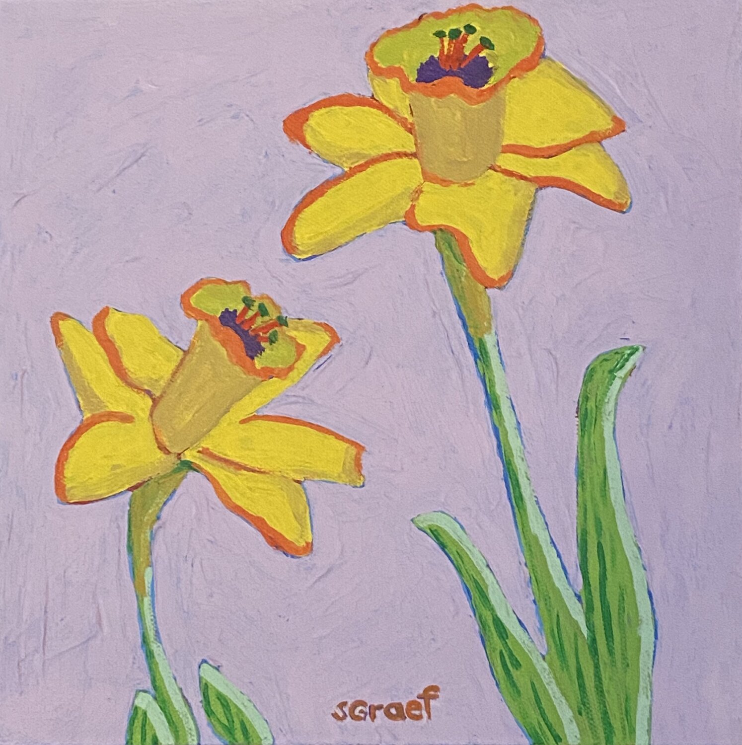 Daffodils Sue Graef