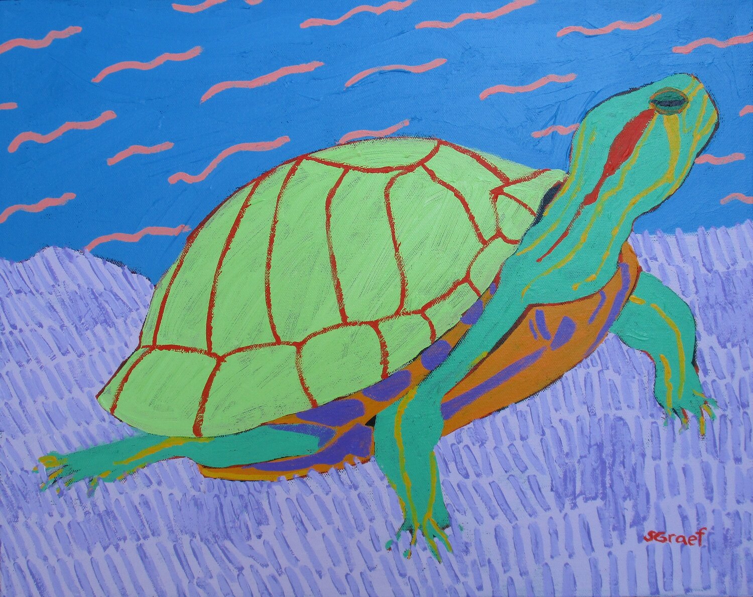 Turtle Sue Graef
