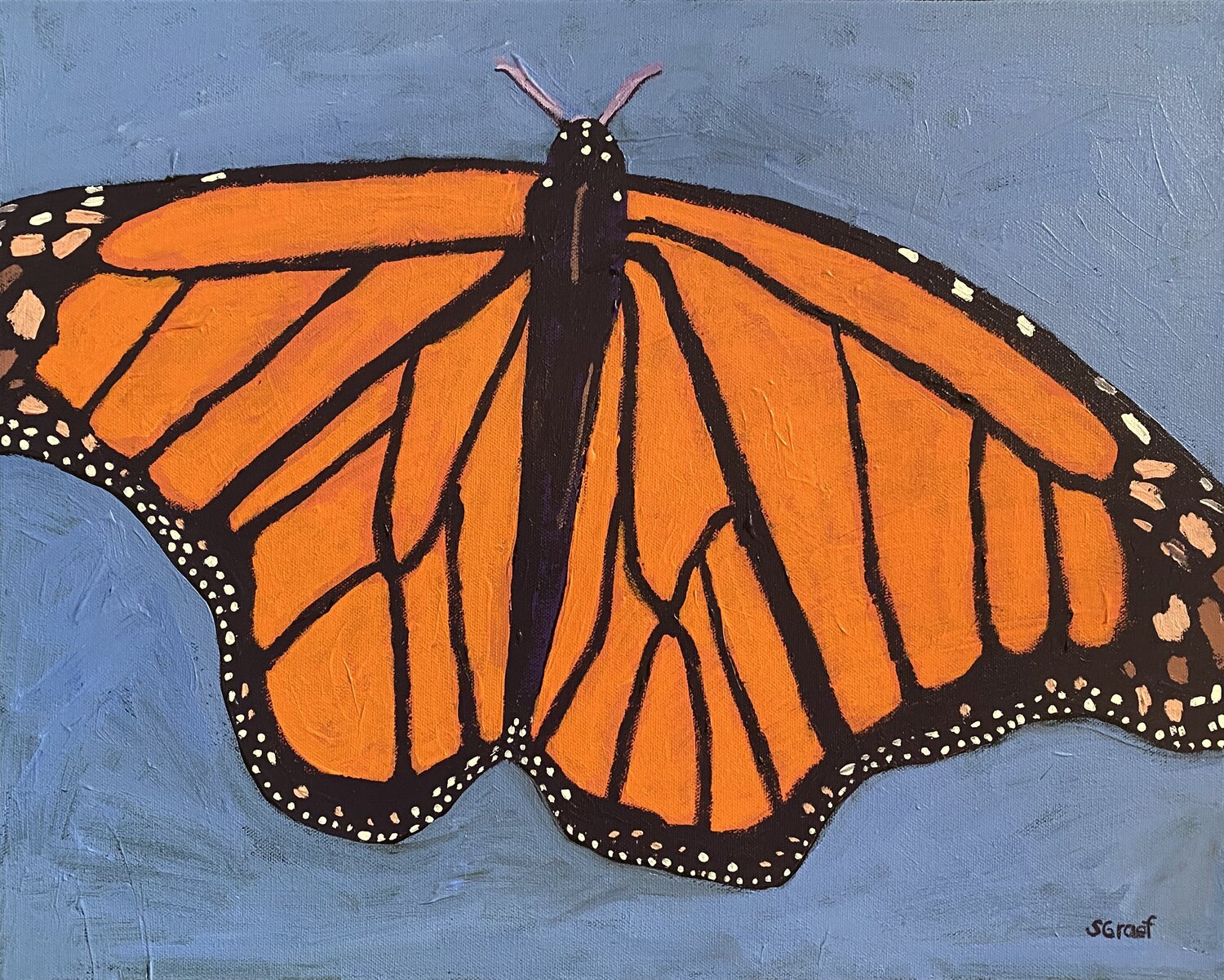 Monarch Butterfly Sue Graef
