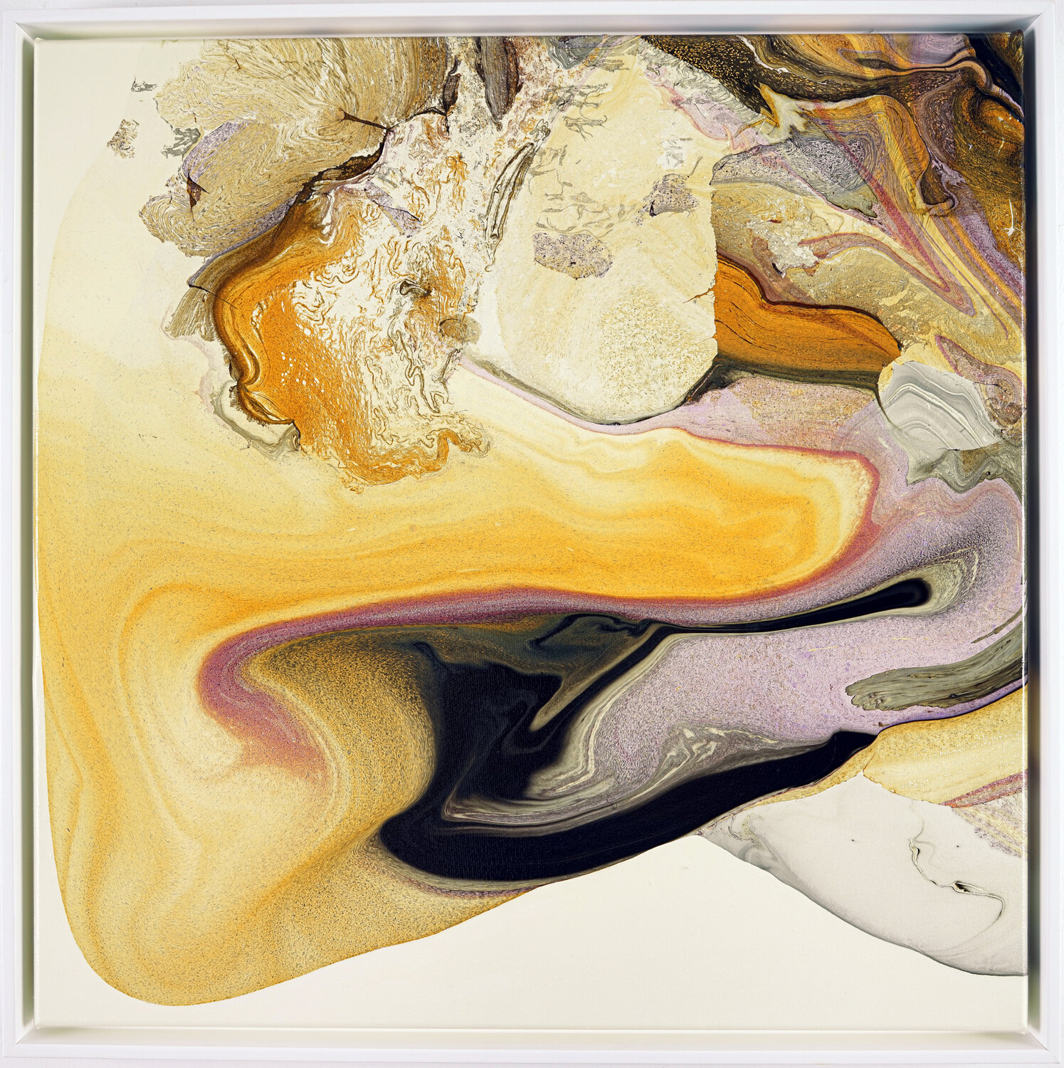 Natural Voices II Fintan Whelan
