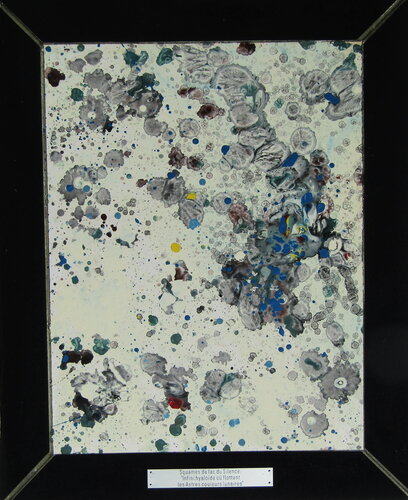 Squames du lac du Silence: "Ifini hyaloïde ou flottent les Astres couleurs lunaires" di Aldehy, Opera su carta in vendita su Singulart