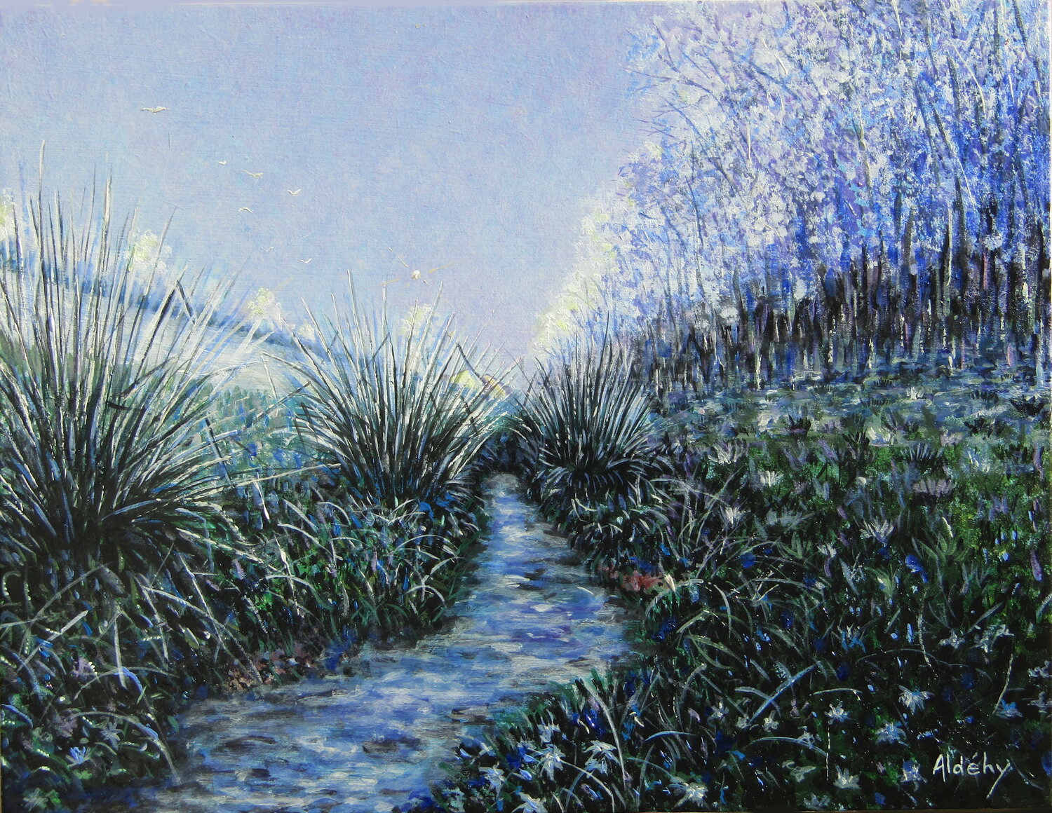 L'eau du Chemin Aldehy