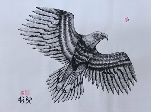 eagle soaring2 Karis Kim