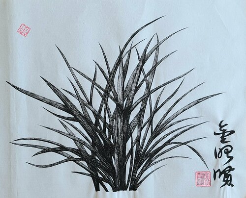 orchid5 Karis Kim
