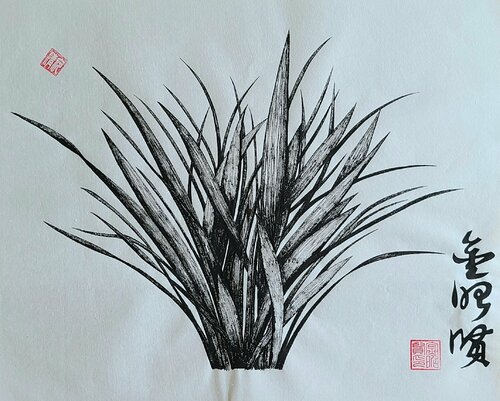 orchid4 Karis Kim