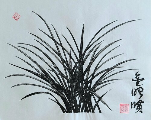 orchid3 Karis Kim