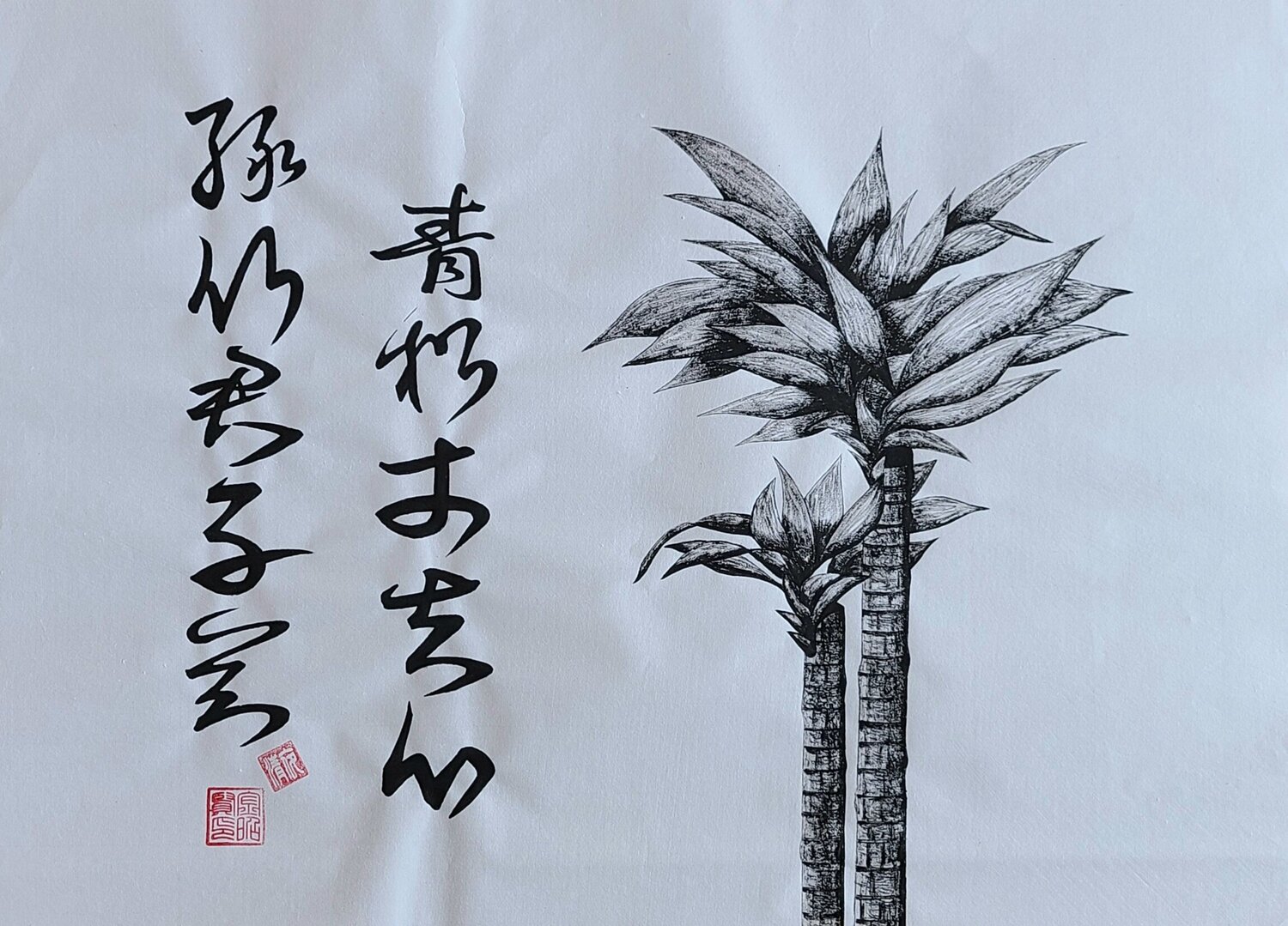 mind of bamboo3 Karis Kim