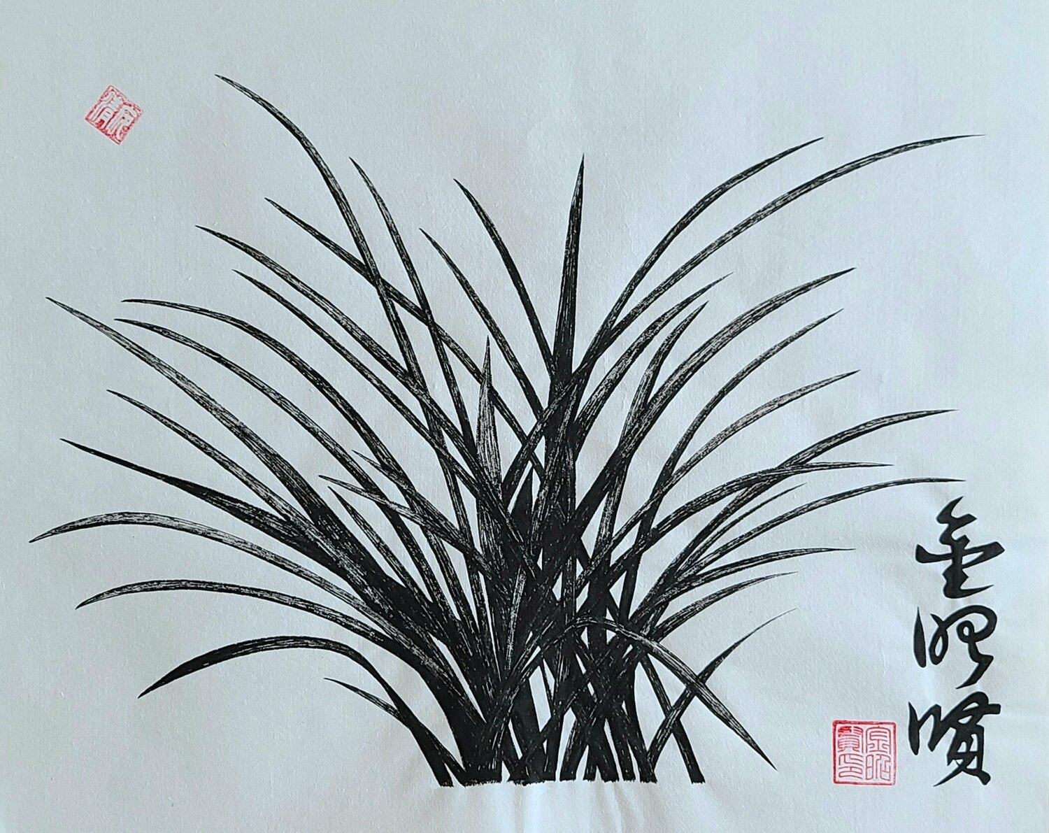 orchid3 Karis Kim