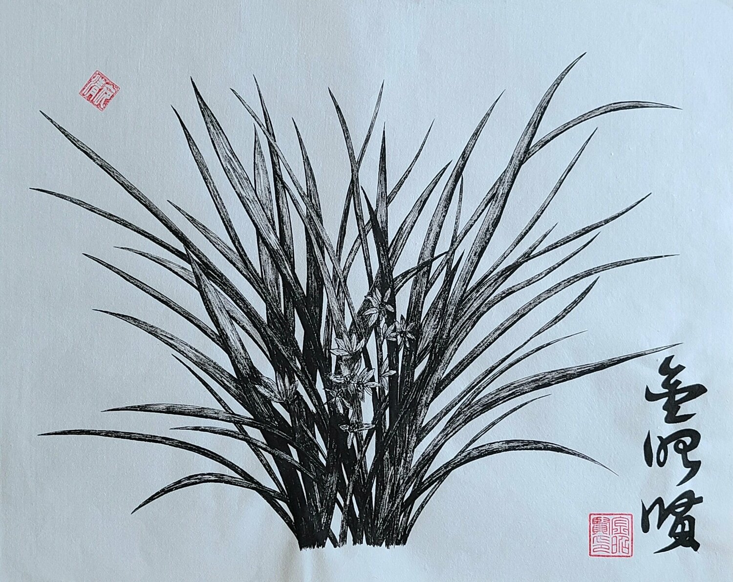 orchid2 Karis Kim