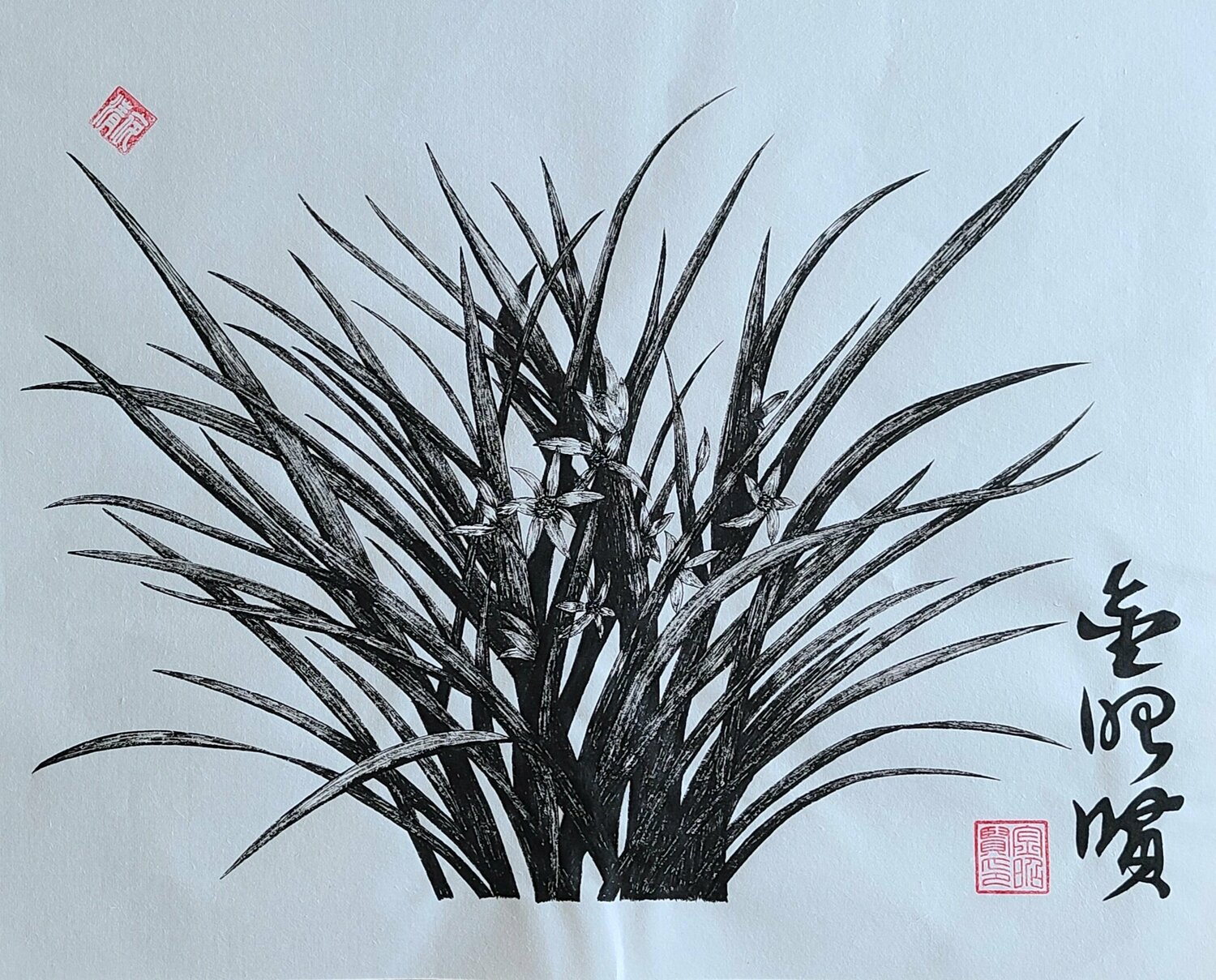 orchid1 Karis Kim