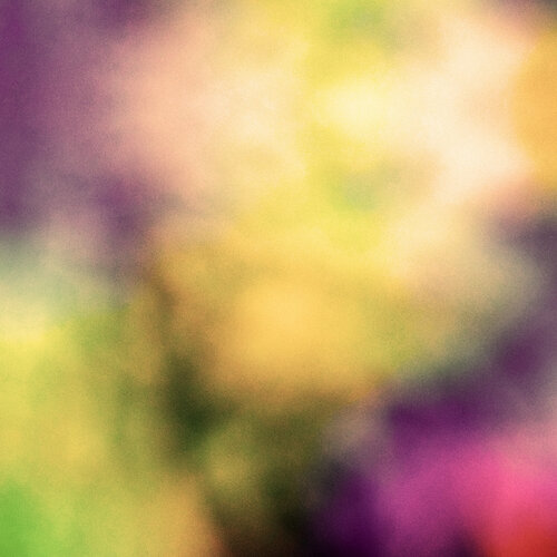 Fall Colors 4 - 80 cm x 80 cm Acrymx