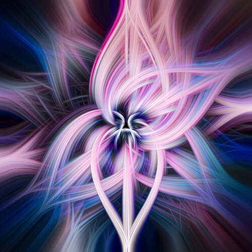 Flowers 1 von Acrymx, Fotografie kaufen auf Singulart