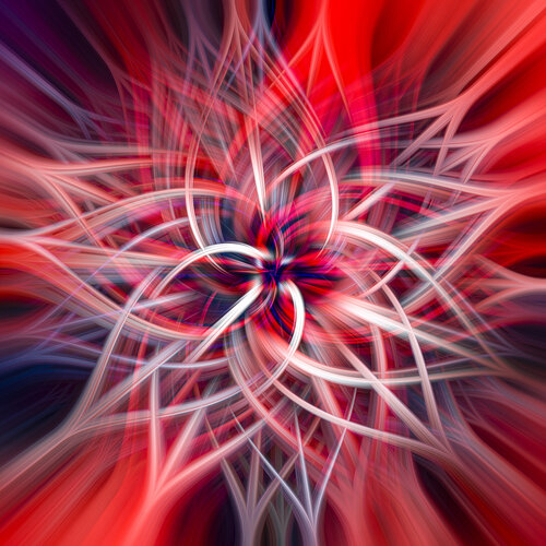 Flowers 3 von Acrymx, Fotografie kaufen auf Singulart