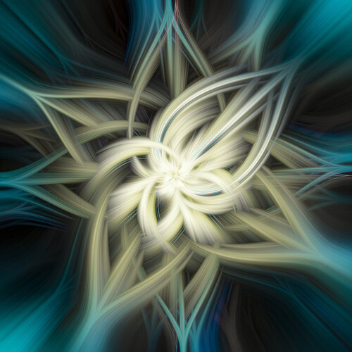 Flowers 4 von Acrymx, Fotografie kaufen auf Singulart