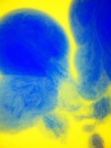 Fluidity Of Colors 1 by Acrymx, Photography for Sale on Singulart