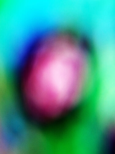 Color Field 5 - 80 cm x 60 cm de Acrymx, Fotografía a la venta en Singulart