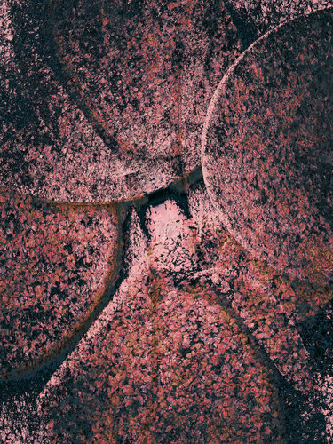 Pink Lines 6 di Acrymx, Fotografia in vendita su Singulart