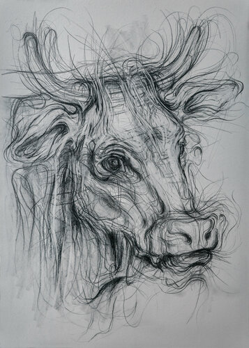 Kuhkopf II by Wolfgang Eckert, Drawing for Sale on Singulart