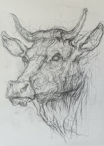 Kuhkopf I van Wolfgang Eckert, Tekening te koop op Singulart