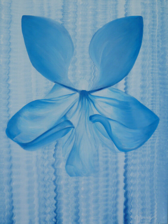 "Les Fées Papillon" Electra Myriam Bonnet
