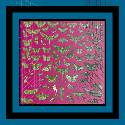 A43 - Lepidoptera, Orthoptera, and Hemiptera on Pink von Aleks Rosenberg, Digital kaufen auf Singulart