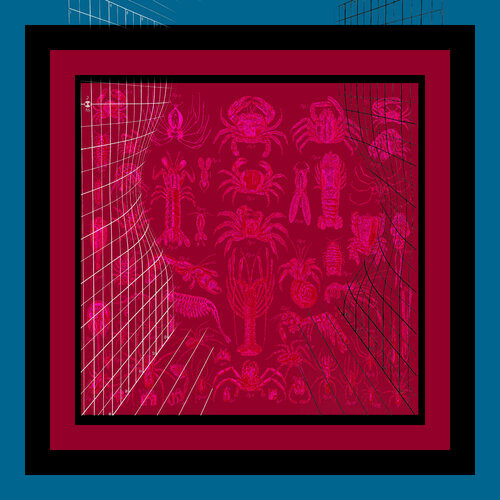 A43 - Crustacea and Arachnida on Raspberry Red von Aleks Rosenberg, Digital kaufen auf Singulart