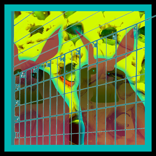 A55 - AMERICAN GOTHIC BEHIND BARS 1 van Aleks Rosenberg, Fotografie te koop op Singulart