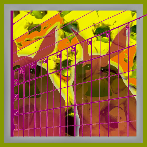 A55 - AMERICAN GOTHIC BEHIND BARS 2 van Aleks Rosenberg, Fotografie te koop op Singulart