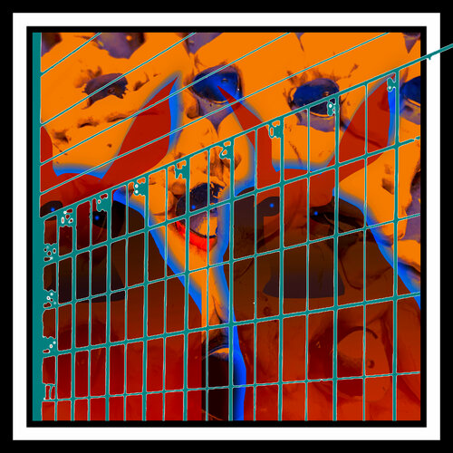 A55 - AMERICAN GOTHIC BEHIND BARS 3 Aleks Rosenberg