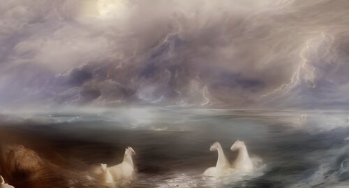 THE SWIM von Aleks Rosenberg, Digital kaufen auf Singulart