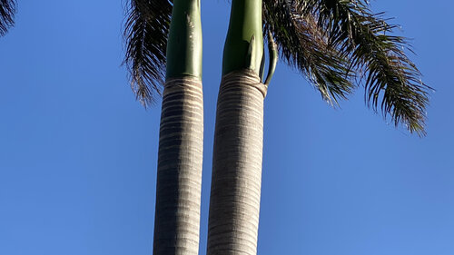 Two Pillars against Blue von Aleks Rosenberg, Fotografie kaufen auf Singulart