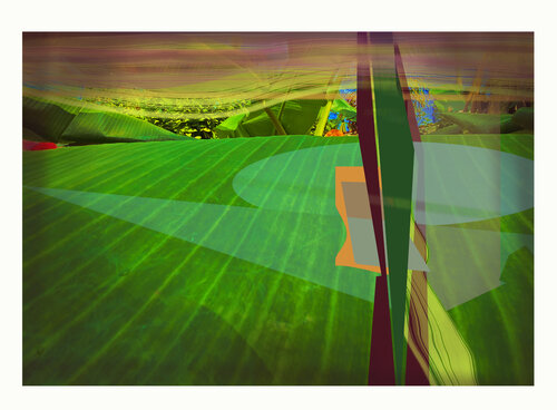 IMG_5973- Farmland di Aleks Rosenberg, Digitale in vendita su Singulart