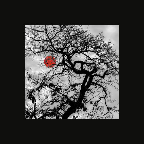 IMG_4997-Red Sun di Aleks Rosenberg, Digitale in vendita su Singulart