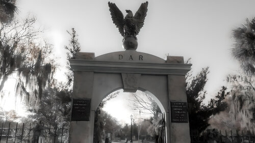 P012 - Savannah- DAR (Daughters of the  American Revolution) di Aleks Rosenberg, Fotografia in vendita su Singulart